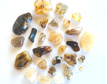 Agates mousse dendritiques Yellowstone - Agates roulées d'une livre