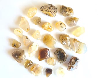 Agates mousse dendritiques Yellowstone - Agates roulées d'une livre
