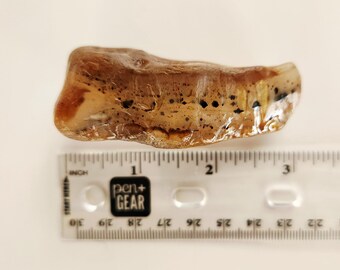 Agate mousse dendritique Yellowstone brute - Pour le culbutage, la fabrication de bijoux et la collecte de pierres précieuses