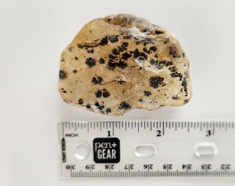 Agate mousse dendritique Yellowstone - brute - pour le culbutage, la fabrication de bijoux et la collecte de pierres précieuses