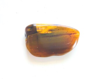 Bois pétrifié Agatisé - Poli - Pour la fabrication de bijoux, la collecte de pierres précieuses, la guérison