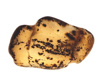 Agate mousse dendritique brute de Yellowstone - Pour le culbutage, la fabrication de bijoux et la collecte de pierres précieuses