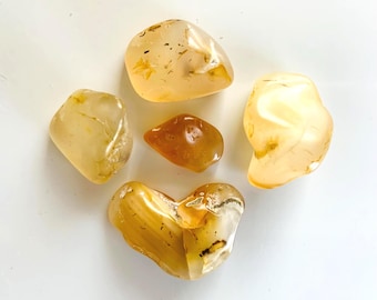 5 agates mousse dendritiques Yellowstone - polies - pour la fabrication de bijoux, la collecte de pierres précieuses, la guérison