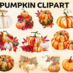 Watercolor Pumpkins Clipart, Fall Pumpkin Png, Pumpkin Png Clipart, Fall Autumn Clipart, Halloween Pumpkin Clipart