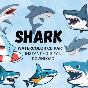 Watercolor Shark Clipart, Ocean Life, Sea Animals, Baby Shark Clipart, Cute Sharks, Shark Illustration , Baby shark clipart