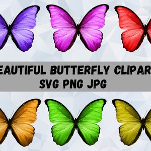 Ultimate Butterfly Svg , Butterfly Svg Bundle , Cute and Colourful Butterflies , Butterfly file For Cricut , Instant Download