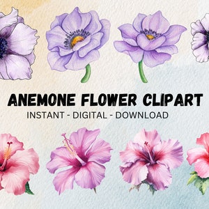 Anemone Flower Watercolor Clipart, Floral clipart, Flowers Bouquets Clipart Png , Anemone Bouquet Bundle