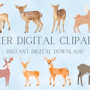 Waldtiere Clipart, Aquarell Waldtiere Clipart, Hirsch Clipart, niedliche Tiere Clipart, Waldtier Clipart