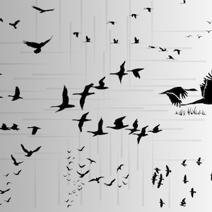 Flock of Birds svg bundle\ SVG\ JPG\ PNG\ Commercial Use\ Digital Cut Files for Cricut\ Silhouette\ Transparent Background\ Flying Bird
