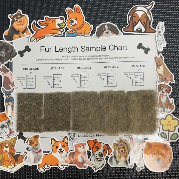 Groomer’s Hair Chart (Regular Blades) (Brown Furr)