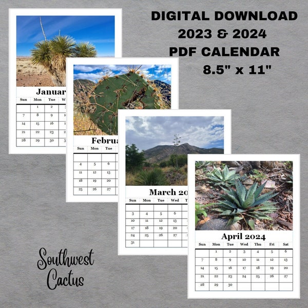 2024 Cactus Calendar Etsy