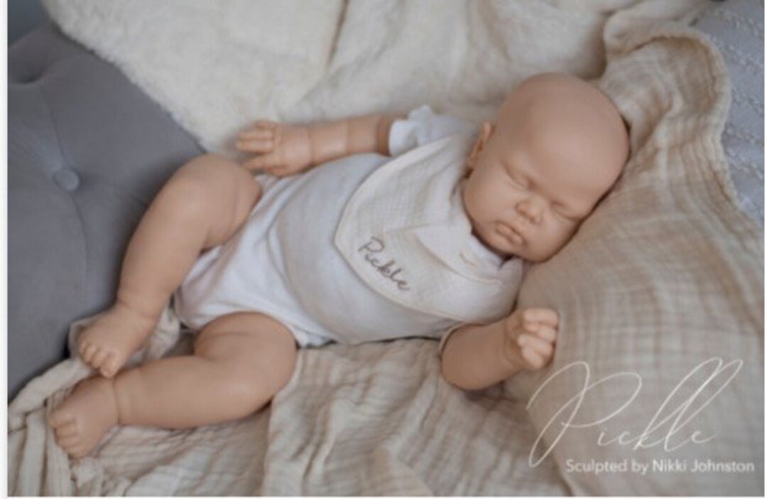 Custom Reborn Pickles Etsy