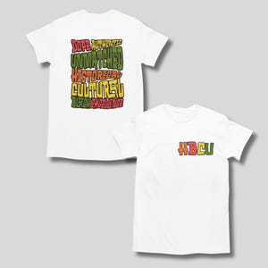 Describe HBCU In 1 Word T-Shirt: Black Excellence, Historically Black Colleges And Universities