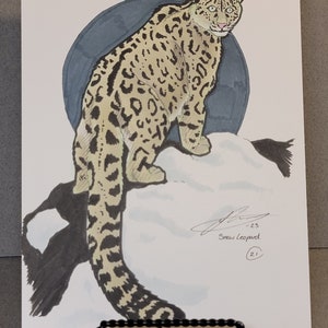 Snow Leopard Original