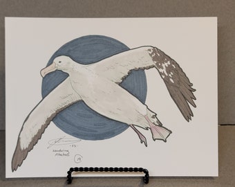 Wandering Albatross Original