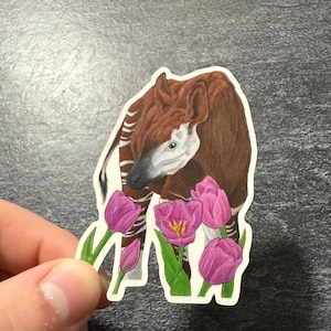 Okapi with tulips vinyl Sticker