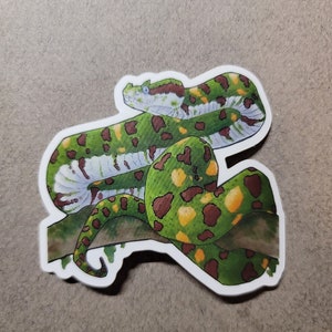 Eyelash viper Sticker