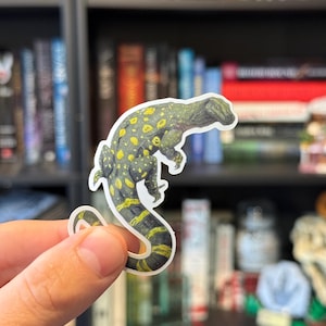 Crocodile Monitor Sticker