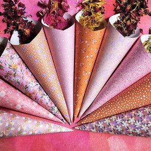 Wedding confetti- Biodegradable Confetti - Paper Cones and flower petals-Set of 10 cones and petals - Dried Flowers