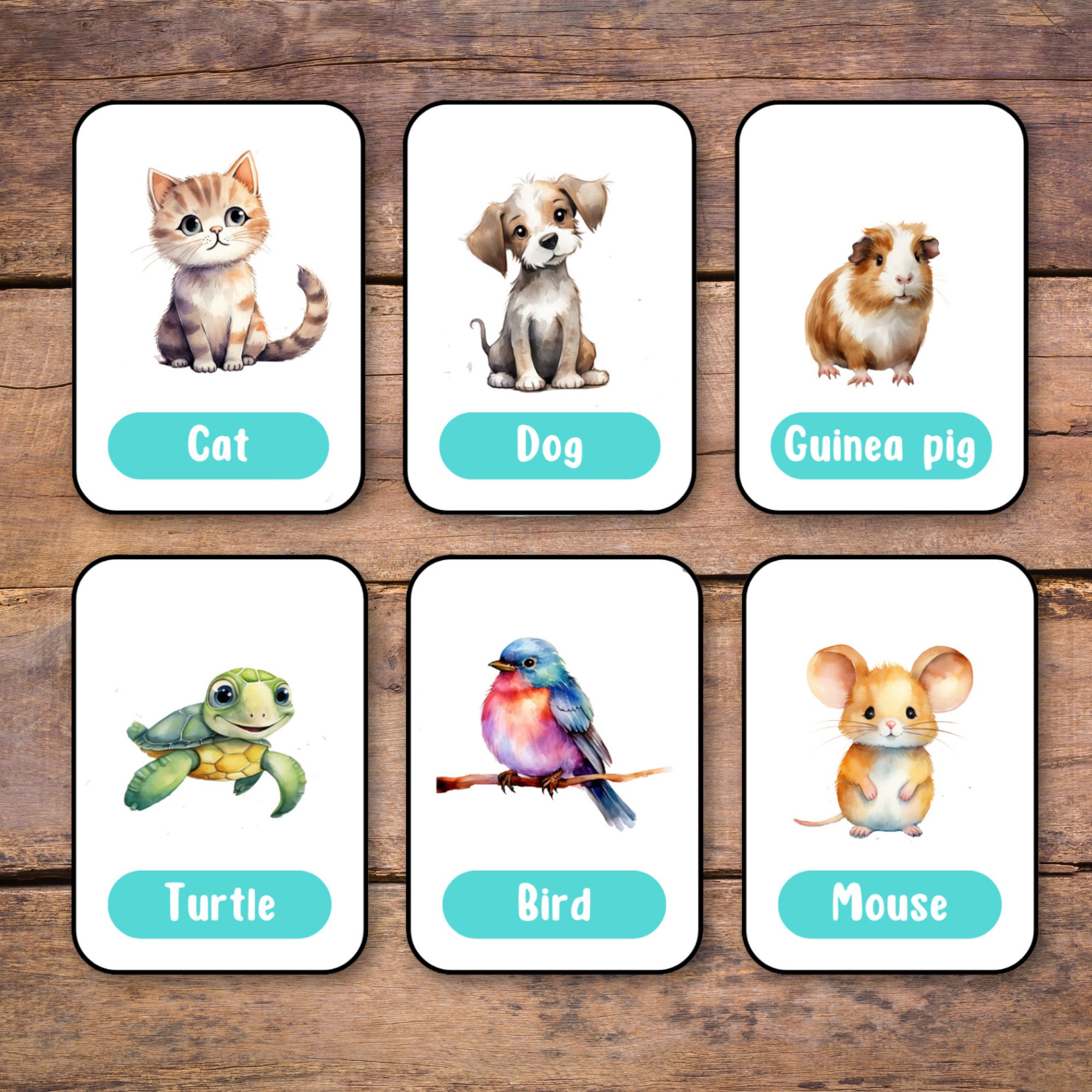 24 Flashcard in ENGLISH With Animal Motifs for Children and Adults ...