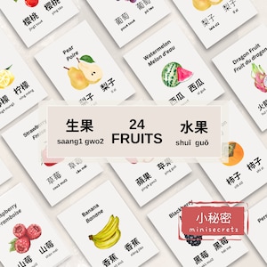 Flashcards de fruits chinois imprimables, chinois traditionnel, chinois simplifié, cantonais, mandarin, téléchargement numérique