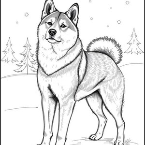 Peut inclure: Un dessin au trait noir et blanc d'un chien Shiba Inu debout dans un paysage enneig&eacute;. Le chien regarde directement le spectateur, la queue enroul&eacute;e derri&egrave;re lui.