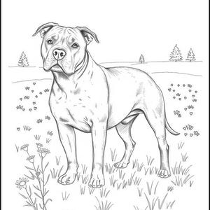 Peut inclure: Un dessin au trait en noir et blanc d'un pit-bull terrier debout dans un champ d'herbe avec des fleurs. Le chien regarde directement le spectateur.