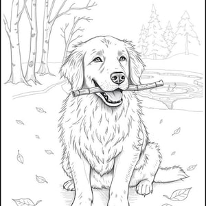 Peut inclure: Un dessin au trait en noir et blanc d'un golden retriever assis dans un d&eacute;cor de for&ecirc;t. Le chien tient un b&acirc;ton dans sa gueule et des feuilles sont &eacute;parpill&eacute;es sur le sol.