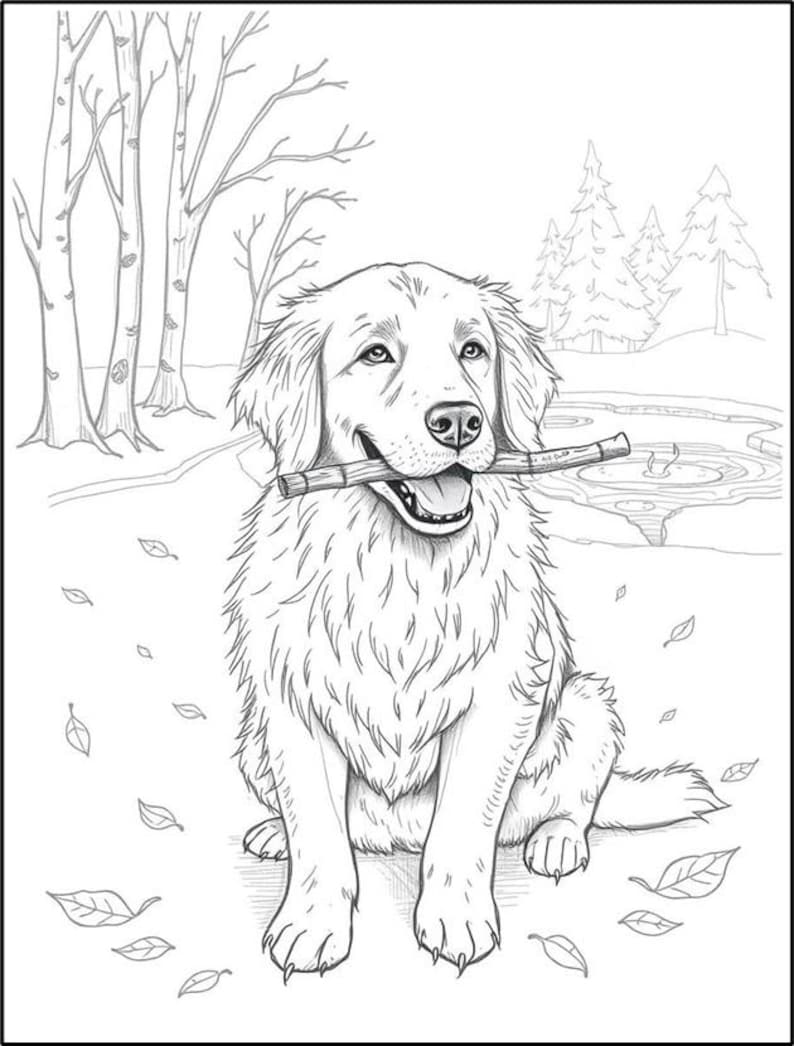 Peut inclure: Un dessin au trait en noir et blanc d'un golden retriever assis dans un d&eacute;cor de for&ecirc;t. Le chien tient un b&acirc;ton dans sa gueule et des feuilles sont &eacute;parpill&eacute;es sur le sol.