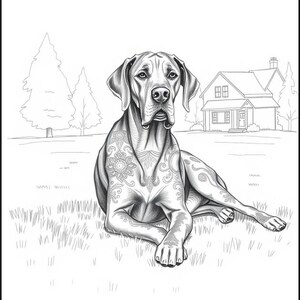 Peut inclure: Une illustration en noir et blanc d'un dogue allemand couch&eacute; dans un champ herbeux. Le chien a des motifs complexes sur son corps, ressemblant &agrave; des tatouages.