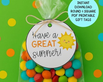 Have a Great Summer Instant Download Printable Gift Tags for Students Teachers, End of Year Classmate Gift Tags, Summer Party Favor Bag Tags