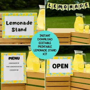 May include: A lemonade stand kit with signs that say "Lemonade Stand", "Menu", and "Open". The menu lists prices for lemonade, pink lemonade, and cookies. The kit includes a banner that says "Lemonade".