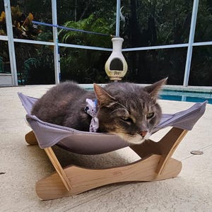 May include: A gray tabby cat wearing a bow tie rests in a gray hammock-style cat bed. The cat bed is supported by a light brown wooden frame. The background includes a swimming pool and lush greenery.