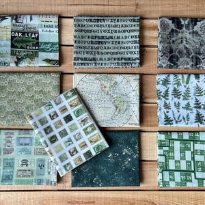 Eclectic Elements Green Palette Fat Quarter Bundle by Tim Holtz for FreeSpirit Fabrics