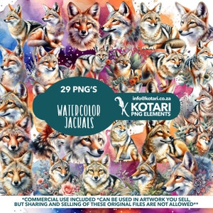 Può includere: Una collezione di 29 illustrazioni ad acquerello di sciacalli. Le immagini sono in una varietà di pose ed espressioni, e sono posizionate su uno sfondo colorato. Il testo "29 PNG'S WATERCOLOR JACKALS" è visualizzato al centro dell'immagine. Il testo "info@kotari.co.za KOTARI PNG ELEMENTS" è visualizzato nell'angolo in basso a destra dell'immagine.