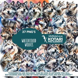 Puede incluir: Una colección de 37 ilustraciones de lobos en acuarela en formato PNG. Los lobos se representan en varias poses y expresiones, con un fondo de acuarela colorido. El texto "37 PNG'S WATERCOLOR WOLVES" se muestra en el centro de la imagen. El texto "info@kotari.co.za X KOTARI PNG ELEMENTS" se muestra en la esquina inferior derecha de la imagen. El texto "*COMMERCIAL USE INCLUDED *CAN BE USED IN ARTWORK YOU SELL, BUT SHARING AND SELLING OF THESE ORIGINAL FILES ARE NOT ALLOWED**" se muestra en la parte inferior de la imagen.
