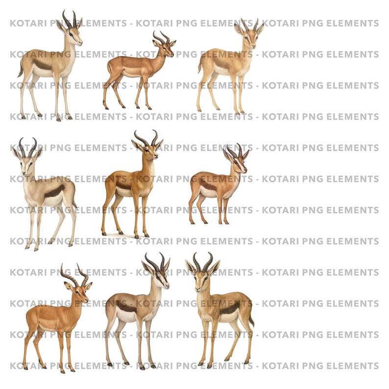 Springboks and Rooibok - Transparent PNG Clipart - Commercial Use - Etsy