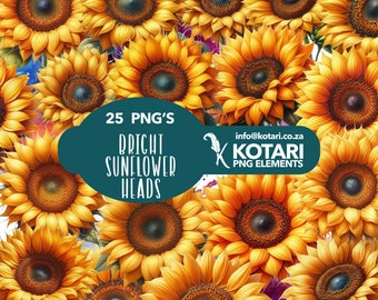 Bright Sunflower Heads - Transparent PNG Clipart - Commercial Use