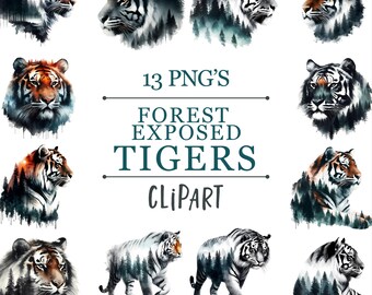 Forest Exposed Tigers - Transparent PNG Clipart - Commercial Use