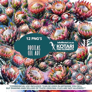 Oil Painted Proteas - Transparent PNG Clipart - Commercial use