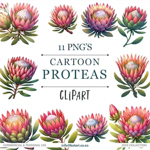 Cartoon Proteas - Transparent PNG Clipart - Commercial use