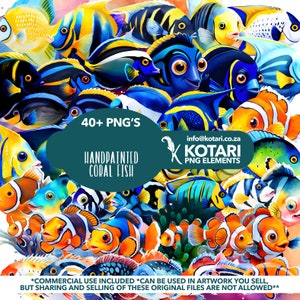 Mixed Coral Reef Fish - Transparent PNG Clipart - Commercial Use