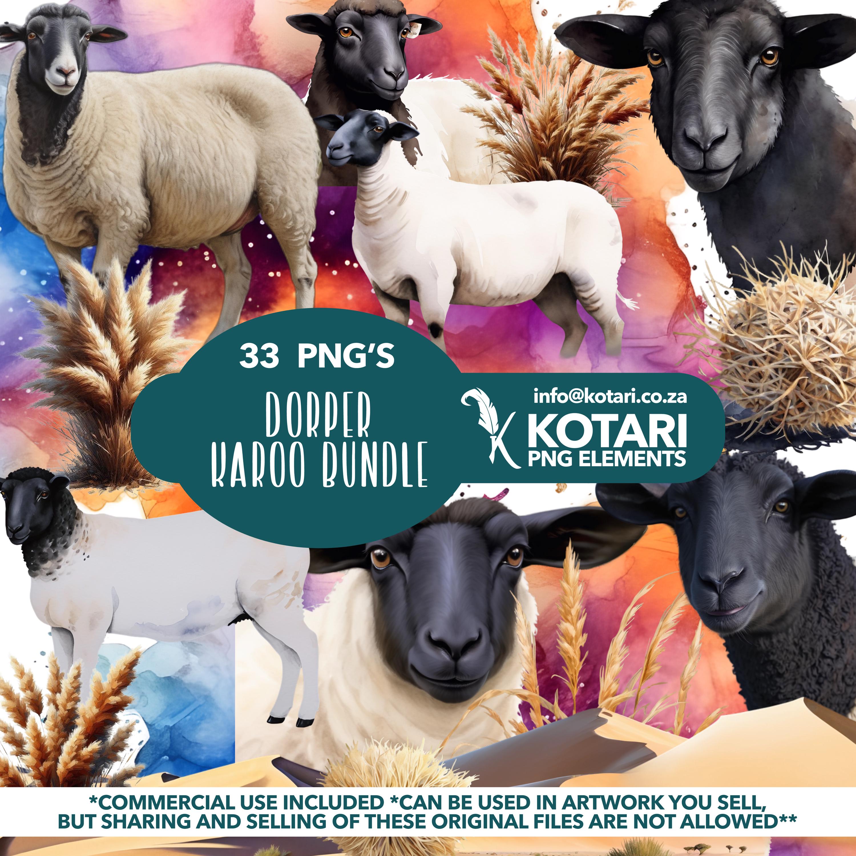 Dorper Karoo Bundle - Transparent PNG Clipart - Commercial Use - Etsy, image size:3000x3000