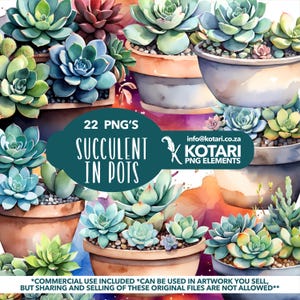 Puede incluir: Ilustración en acuarela de varias plantas suculentas en macetas. La imagen presenta una variedad de suculentas en tonos verdes, azules y rojos, dispuestas en diferentes macetas de cerámica. El texto en la imagen dice "22 PNG'S SUCCULENT IN POTS".