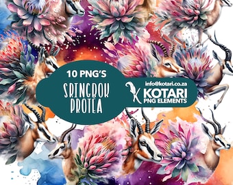 Springbok e Protea - PNG trasparente Clipart - Uso commerciale