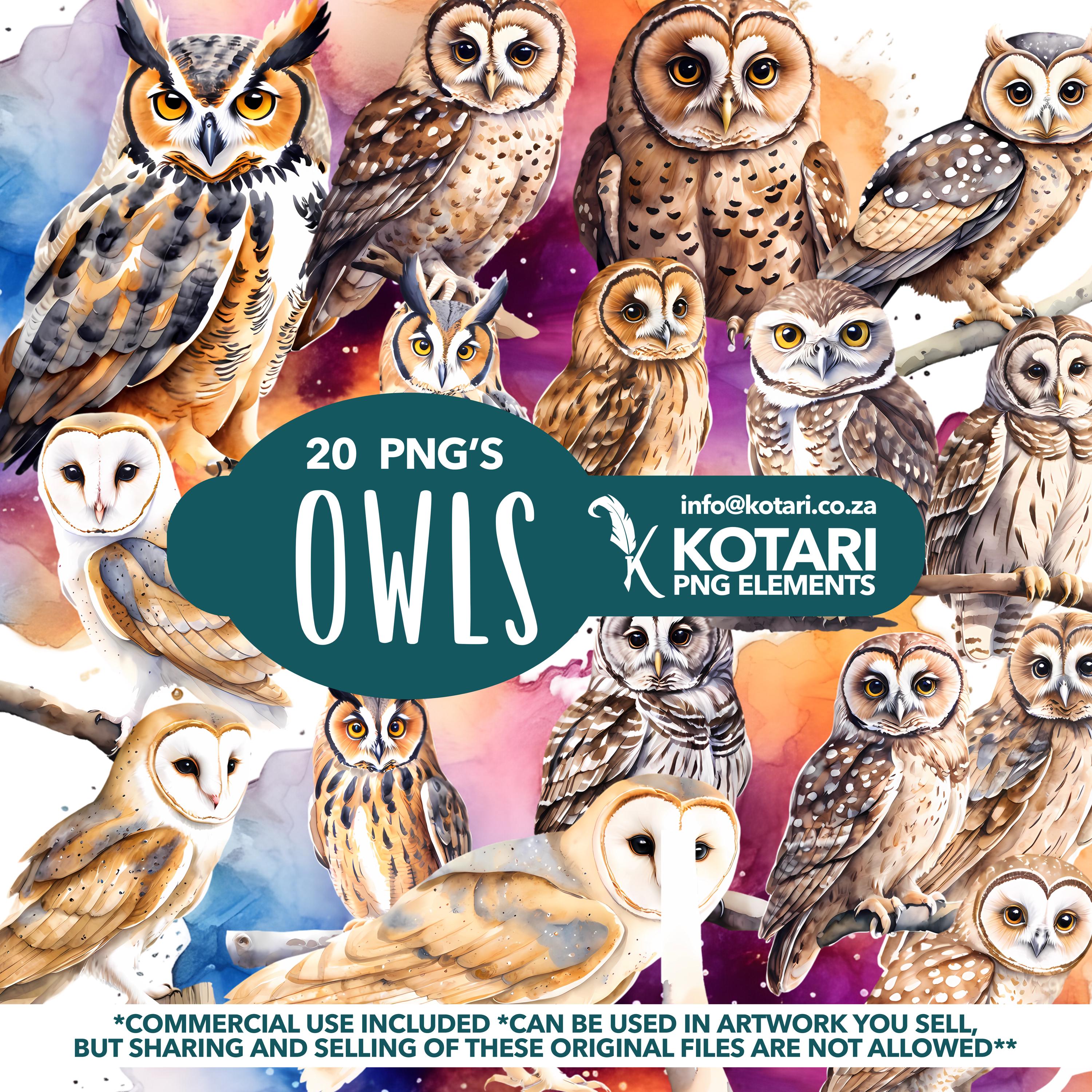 Owls - Transparent PNG Clipart - Commercial Use
