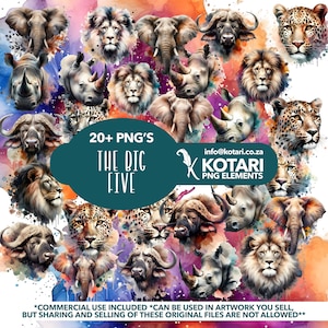 Könnte beinhalten: Eine Collage aus Aquarellmalereien der Big Five Tiere: Löwe, Elefant, Nashorn, Leopard und Büffel. Die Tiere sind in einem lebendigen, farbenfrohen Stil mit Spritzern in Pink, Lila, Orange und Grün dargestellt. Der Text "20+ PNG'S THE BIG FIVE" ist in einem grünen Kasten dargestellt.