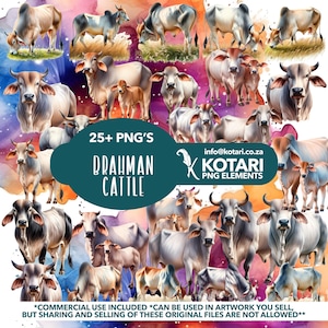 Puede incluir: Un collage digital con ilustraciones de acuarela de ganado Brahman en varias poses. La imagen incluye el texto "25+ PNG'S BRAHMAN CATTLE" y "KOTARI PNG ELEMENTS". El fondo tiene lavados de acuarela coloridos.