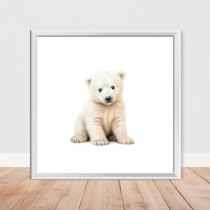 Lámina de safari para guardería de oso polar bebé: individual o crea tu propio conjunto: regalo para guardería de niños y niñas: tamaño A4, A3, A2, 50 x 50 cm