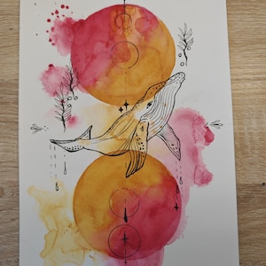 Acquerello originale e tecnica mista - Balena in rosa e arancione